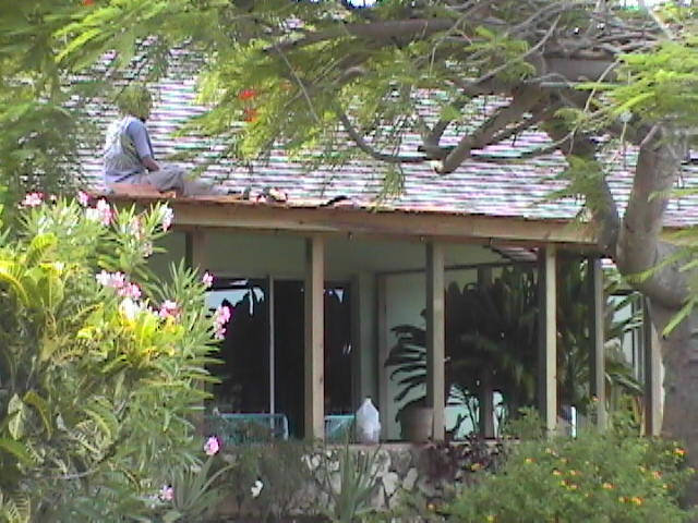 Renovation & Maintenance